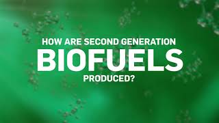 Production process of 2G biofuels [upl. by Traver467]