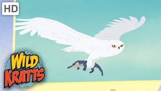 Wild kratts return of zoboomafoo intro 3 final intro [upl. by Brook]