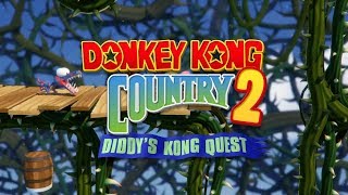 Donkey Kong Country 2 HD  Bramble Blast [upl. by Schurman]