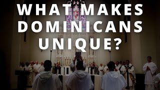 This is What Makes Dominicans Unique [upl. by Pickens]