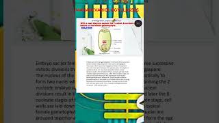 With a neat diagram explain the 7celled 8nucleate nature of the female gametophytesexual [upl. by Etselec]