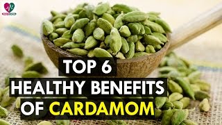 Top 6 Health Benefits of Cardamom  Health Sutra [upl. by Shannen]