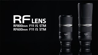 Introducing the Canon RF600mm and RF800 F11 IS STM Lenses [upl. by Down]