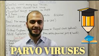 Microbiology  PARVO VIRUS  DNA Viruses  HIGH YIELD [upl. by Thgiwed]