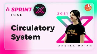 Circulatory System  ICSE Class 10 Biology Chapter 8  Sprint X ICSE 2021  Vedantu 9 and 10 English [upl. by Bevin]