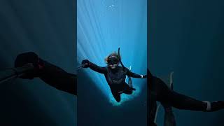 Cenote Diving in Australia sinkhole diving underwater [upl. by Milicent]