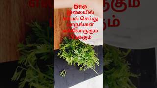 shortsfeedshortvideo salad sambol recipeகேரட் இலை சம்பல்sambal [upl. by Acitel]