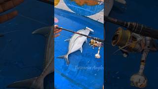 Caught big gt fish with Fishart Shooter 762 Heavy Spinning rodfishing shortsfeed [upl. by Yesiad]