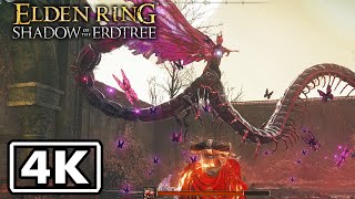 SHADOW OF THE ERDTREE Elden Ring  Romina Saint of the Bud Boss Fight 4K Best Graphic Settings [upl. by Dahlia489]