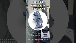 Haswing kayak motor W40 [upl. by Rodmur676]