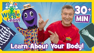 Learn About Your Body 🦵🧠👋🦴 Wiggle and Learn 📚 Educational Video for Toddlers with The Wiggles [upl. by Luciano]