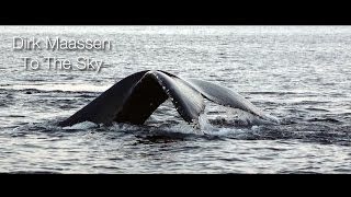 Absolutely Wonderful Piano Piece  Dirk Maassen  To The Sky featured on Whales at Senja Norway [upl. by Llewen242]