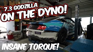 73 Godzilla S550 Mustang  First Drive amp DYNO [upl. by Eimaj610]