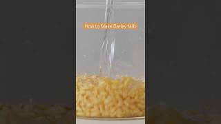 How to Make Barley Milk at Home in Minutes barleymilk plantmilk nutmilk 🌱🥛 Full Recipe on YT [upl. by Aehsal]