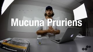 What Are The Benefits Of Mucuna Pruriens [upl. by Pelson616]