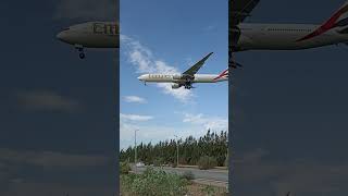 Planespotting at Algiers airport aviation aviation planespotting [upl. by Anaxor]