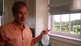 Homemade Window Cleaner  At Home With P Allen Smith [upl. by Padraic]