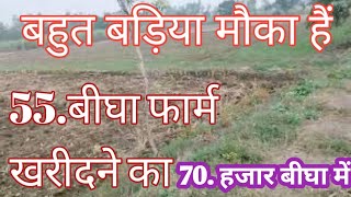 55बीघा गाँव से लगा फार्म बिकाऊ हैं कीमत 70 हजार पर बीघा में agriculture land for salesasti jameen [upl. by Ahsar19]