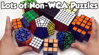 Huge NonWCA Unboxing  Thecubicleus [upl. by Haye]