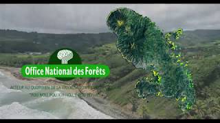 Action de reconquête de la Forêt Domaniale Littorale en Martinique 19882018 [upl. by Rebel985]