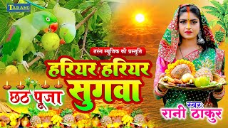 LIVE  पारम्परिक छठ पूजा गीत 2024  ChhathPuja Ke Geet 2024  Chhath Puja Ke Gana Chhath Pooja Song [upl. by Zwick]