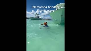 Islamorada Sandbar floridakeys islamorada boat swimming boating trending viralshorts fyp [upl. by Narcho]