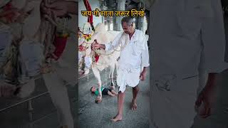 Lo sambhalo bhole apni kanwar 🔱🙏 bolbamsong gaumata shorts trending viralvideo song [upl. by Ardeha828]