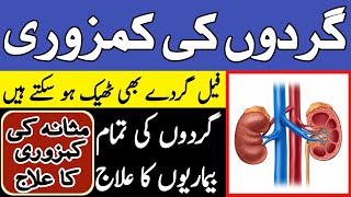 Gurde Aur Masane ki Bemarion ka ilaj  Kidney Failure Treatment  Hakeem Zia Shahid [upl. by Cynthia125]