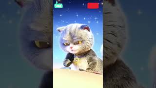 Billo Is Sad Today 🥺😞  shorts ytshorts trending cute cat kitten [upl. by Arbmik405]