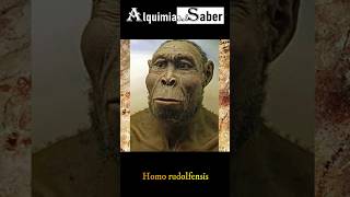 Homo rudolfensis  Alquimia del Saber  Sh69 prehistoria historia prehistorico curiosidades [upl. by Millburn513]