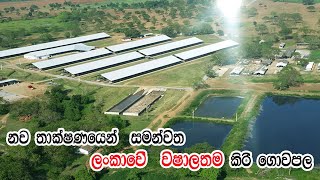 Asia Lagest Farm In Sri Lanka  Ridiyagma NLDB Farm Full Episode [upl. by Atilegna]