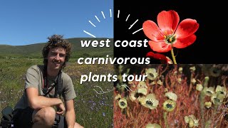 Carnivorous Plants of the West Coast South Africa [upl. by Cully]