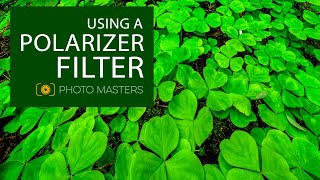 How to Use a Polarizer Filter [upl. by Nangatrad]