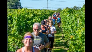 2023 Westport Wine Run FAQs [upl. by Attegroeg]