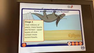 KS4 GCSEBiologyFossilisation [upl. by Trey555]