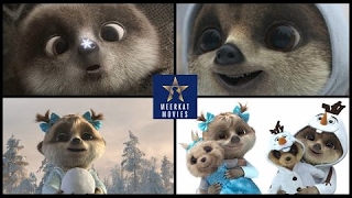 Cute Meerkat Olegs Magical Dream Compare the Meerkat Awesome Commercial Ever Mr Ansten [upl. by Nosiaj]