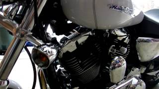 2005 HARLEY DAVIDSON SPORTSTER XL 1200 CUSTOM G 003MOV [upl. by Norvan]