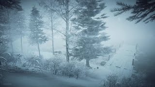 Intense Winter Storm at the Lake┇Howling Wind amp Blowing Snow ┇Sounds for Sleep Study amp Relaxation [upl. by Mayrim778]