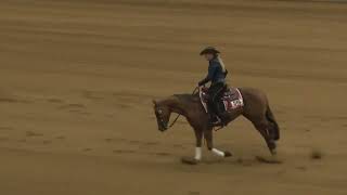 241019 NON PRO FUTURITY AYDEN MAE WELMAN on LIL STITIOUS [upl. by Leehar]