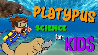 Platypus  Science for Kids [upl. by Lorenza]