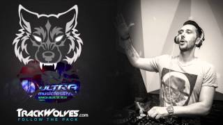 Cedric Gervais  Live  Ultra Music Festival Miami  30032014 [upl. by Anavlys]