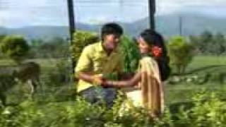 tharu song mura me sochhausanjay rupakchandbella sunsari [upl. by Neeleuqcaj904]