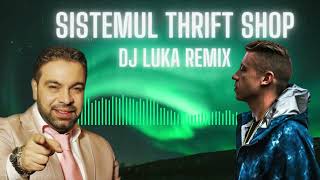 SISTEMUL THRIFT SHOP  DJLUKA Remix [upl. by Madelin]