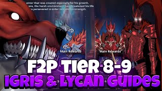 Solo Leveling Arise  F2P TEAMS FOR TIER 8 amp TIER 9 IGRIS AND LYCANS GET LEGENDARY ARTIFACTS [upl. by Wellington975]