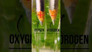 Electrolysis Of Water How To Produce Hydrogen From Water Water Electrolysis Electrolysis shorts [upl. by Niwred]