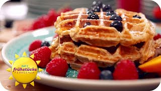 BlaubeerProteinWaffeln  leckerer Fitness Snack  SAT1 Frühstücksfernsehen [upl. by Ocker34]