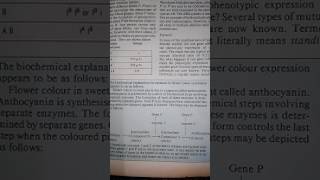 quotDOWNLOAD OLD NCERT GENETICSquot Epistatsis explained from OLD NCERT [upl. by Eiramnaej]