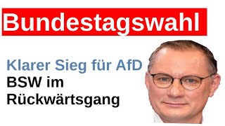 Bundestagswahl Wahlumfrage Sonntagsfrage Prognose AfD gewinnt BSW hohe Verluste [upl. by Jaquelyn]