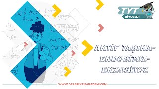 Aktif Taşıma  Endositoz  Ekzositoz [upl. by Ahsatan]