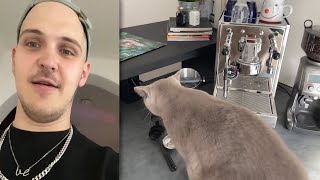 Roomtour zur Kaffeemaschine feat Katzen [upl. by Graniah]